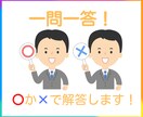 一問一答!「〇」か「×」で解説をつけて回答します 簡単・迅速に相談・解決したい方におススメのサービスです! イメージ1