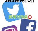 おすすめ/月額　SNS運用代行致します フォロワー、集客、収益でお困りの方のために イメージ1