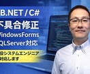 VB.NET / C#の不具合修正します 業務システムのバグ修正や改修対応します イメージ1