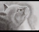 愛犬、愛猫、ペットのリアルな似顔絵オーダー承ります 精密描写で描きます。インテリアアートなどにいかがでしょうか。 イメージ9