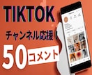 TikTok/日本人50コメント増やします /手動リアルコメント増加でチャンネル応援します！ イメージ2
