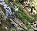癒し(*´꒳`*)気楽に雑談&お話聞きます おっとり下町っ子が寄り添ってお話し聞くよ♡ イメージ2