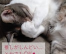 しんどいこと、楽しかったこと、お聞きします 誰か聞いて〜！、それ、毒親育ちのオタクがお聞きします。 イメージ2