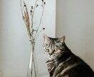 商用フリーの写真提供します 誰もが自然と引き込まれる写真です イメージ2