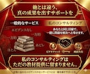 ブログ＆専門サイトの集客を画面共有して直接教えます 2か月間で21万PV増やす基本&裏技コンサル イメージ4