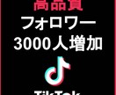 TikTokのフォロワー3000人増やします TikTokをユーザーへ拡散！+3000人増加します イメージ9