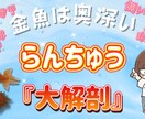 ジャンル限定！YouTube用サムネイル作成します ペット・スピ系限定ですが、丁寧に作成させていただきます。 イメージ5