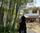 横浜で！あなたをスマホで！自然なお写真撮ります ¥3,000円で全データお渡し！ イメージ1