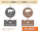 イラストレーターで画像をトレース・Ai化します イラストレーターで画像データをパス・ベクターデータ化します。 イメージ2