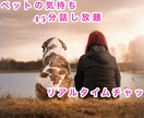 ペットと思う存分お話します リアルタイムで質問数の制限なくペットに聞いてみませんか？ イメージ1