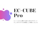 最新EC-CUBE4系にバージョンアップ代行します 2系・3系から最新4系にバージョンアップサポート イメージ1