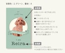 写真入り犬猫ペット名刺　色と書体が選べます 歴15年のデザイナーが作るセミオーダー名刺100枚送料込 イメージ2