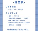 SNSなどで使用できるイラストを作成します アイコン、動画や配信用イラストなどに˚✩* イメージ2