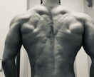 バルクアップ用トレーニングメニューを作成致します 今日から使えるワンポイントアドバイスをプロ目線からお伝え。 イメージ1