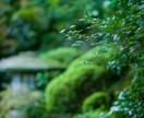 あなたの恋愛が上手くいかない原因を明かします 魂の波を読み解き、深層にある本質的な理由を霊視鑑定 イメージ4