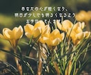2週間伴走、疾患を抱えていても在宅で働けます 無理をしない・疲弊しない働き方へ イメージ6