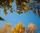 映り手が手掛ける、1日撮影してきます お客様の大切な一瞬の瞬間、大事な時間を形にします！ イメージ2
