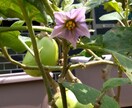 心の悩みを抱えて居られる方私が相手します 小さな胸に抱え込まず何でも話して下さい。守秘義務厳守約束。 イメージ1