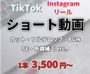 Tiktok・リールなどショート動画編集承ります あなたのイメージ通りにショート動画を編集します！ イメージ1