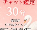 30分間、恋羽がリアルタイムであなたに寄り添います 心の中をゆっくり整理する、羽休めのような30分♡ イメージ1
