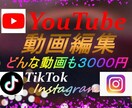youtubeやショートの動画編集要望に応えます 要望に応じた編集を行わせていただきます イメージ1
