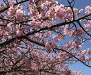 対人関係でのお悩みお聞きしますます 「私がおかしいのかな…？」対人関係で自分を責めていませんか？ イメージ4
