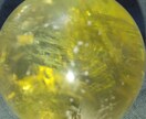 心をこめて電話占い鑑定をさせていただきます 貴方が貴方を導くアルクトウルス自己誘導ヒーリングチャネリング イメージ1