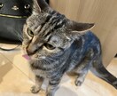 女性の方向けです。お話し聞きます 一人で抱えこんで本当の闇に落ちる前に イメージ9