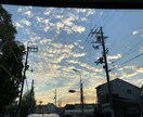 恋愛、結婚、育児相談乗れます 恋愛で色々悩んでる人、結婚相談、育児など色々な相談のります！ イメージ1