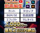 丸投げOK！YouTubeの動画やサムネ制作します 現役クリエイターが効果的な動画を作ります イメージ1