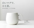 商品写真と原稿から説明画像3枚を制作します 1商品・正方形3枚／PNG納品・軽微修正1回 イメージ1