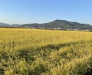貴方の心の声を聞かせて下さい。貴方に安心をします 一人で悩まずご遠慮なくご相談下さい。貴方の心の声を伺います。 イメージ7