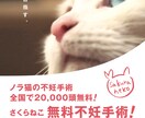 地域猫や多頭飼育崩壊した猫の格安不妊手術相談承ます この出品は購入はされないで、DMからお問い合わせ下さい イメージ1