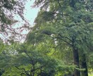 愚痴を聞きます 愚痴から恋愛相談 何でも聞きます！ イメージ1