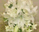 世界に一つのブーケ・花ギフト作ります 宝塚歌劇の制作経験を活かした特別な花贈り イメージ1