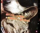 15時〆 全般拝見（オーラ.夢.ペット枠）します 見て頂いた時がタイミング†✴︎霊視透視独自オラクル イメージ6