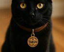 ヴィンテージ風 ペット 迷子札 名入れお作りします 3行タイプ/ワンちゃん、猫ちゃん用アクセサリー風ペットタグ♪ イメージ1