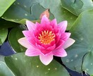 気になるあの人のあなたへの気持ち観ます 心がドキドキするあの人 わたしにどんな気持ちがあるか知りたい イメージ7