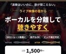バンドのライブ映像の音を聴きやすく整えます ショート動画に最適｜ボーカル分離で1分1500円〜 イメージ1