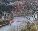 写真素材を提供します 自然派写真を撮影して提供します。 イメージ3