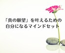 願望実現コーチング【未来創造】を徹底サポートします 人生の土台を徹底サポート「真の願望」叶えるマインドセット構築 イメージ9
