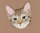 猫ちゃんわんちゃんの似顔絵を線画で描きます 写真をもとにきれいな線やスケッチ風で描きます。犬猫以外も可 イメージ10