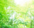 宇宙の法則通りになります 魂の時代といわれておりますね。 イメージ4