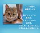 どうでもよくない、どうでもいいこと聞きます 「（どうでもよくない）どうでもいいこと」話してみませんか？ イメージ2