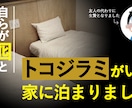 Youtubeサムネイル作成します 再生回数UPにつながるデザイン! イメージ5
