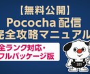Pococha完全攻略マニュアルを納品します 配信成功のすべてがここに詰まっています。 イメージ1