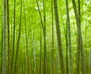 霊を避ける秘訣教えます 霊が寄り付きにくい生活へ向けて イメージ1