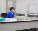 人間関係のモヤモヤをタロットで整理しますます 未来を当てるのではなく今の感情を読み解きます イメージ5