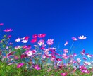 全集中でお話うかがいます あなたに寄り添い、受け止めます。１分からでもお気軽に！ イメージ3