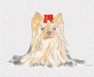 世界にひとつのうちの子似顔絵制作します 愛犬・愛猫・小動物OK、優しいタッチで大切な子をイラストに イメージ8